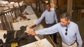 Matthias Hess and Ermias Kebreab stand together in the UC Davis cow dairy facilities.