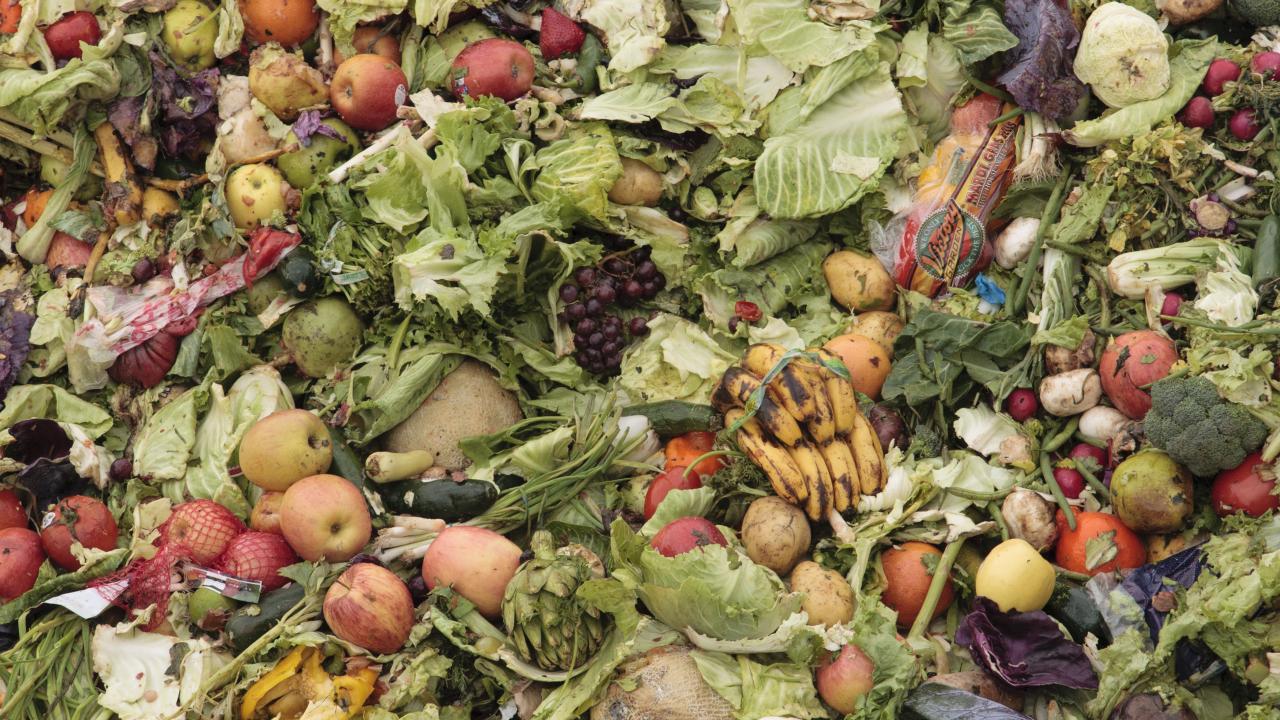 Food scraps in a compost bin.