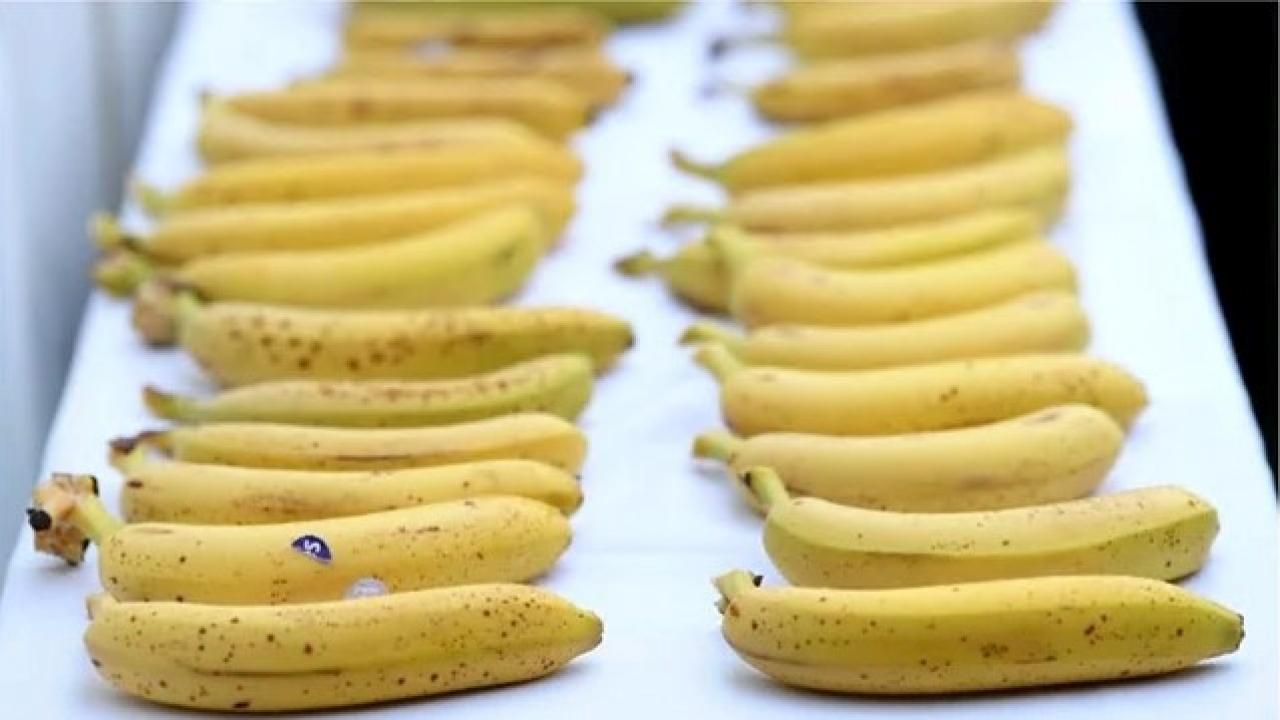 bananas image
