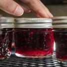 Fruit jelly in small glass mason jars.