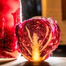 Purple cabbage used to make sauerkraut starts to change color as it ferments. (Hector Amezcua/UC Davis)