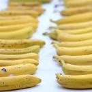bananas image