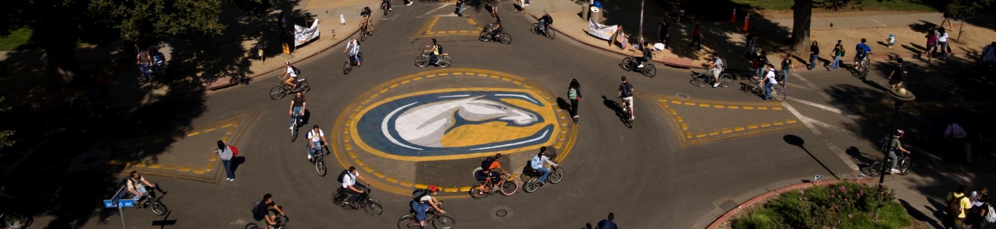 UC Davis